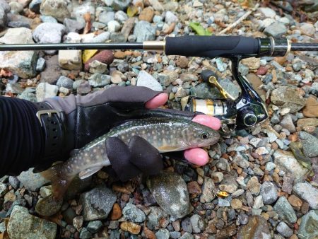 初めての渓流ルアー