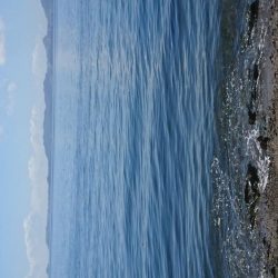 今年初ｷｽ釣り