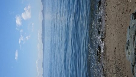 今年初ｷｽ釣り