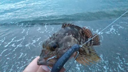 フラット、ロック狙い