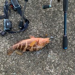 良い時期になってきた