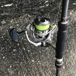 ライトワインドでマハタ&ガシラ