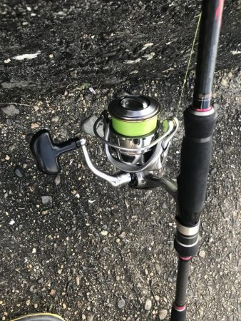 ライトワインドでマハタ&ガシラ