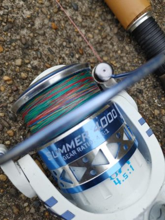 ニゴイでした　残念