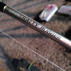 久しぶりのヒラメです