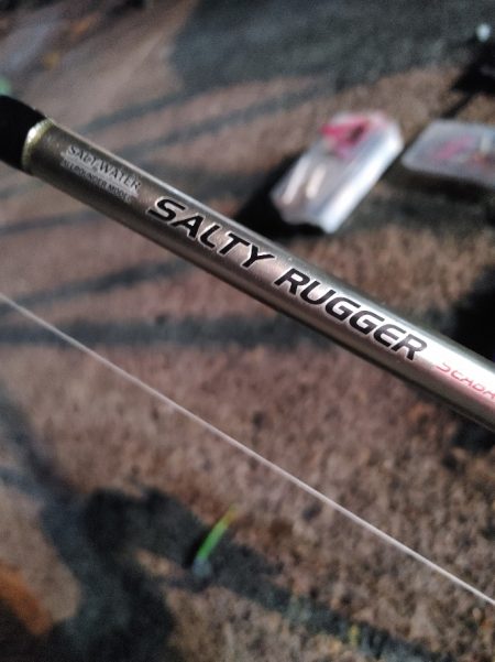 久しぶりのヒラメです