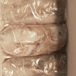 シロイカ好調続く