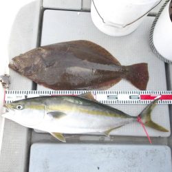 SOUTH(サウス)釣果