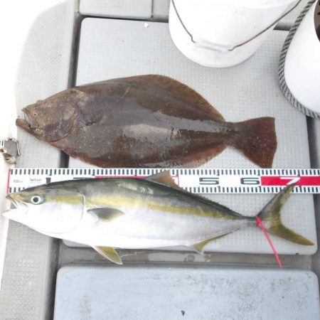 SOUTH(サウス)釣果