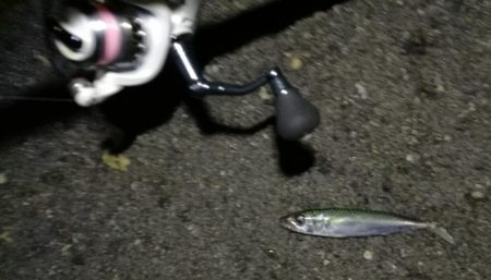 2021/07/09 南港アジング(サバングｗ)