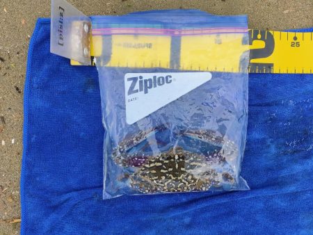 落とし込みでマダカ