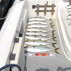 SOUTH チャーター便5名様釣果