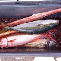 康仁丸・ジギング釣り果