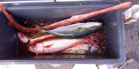 康仁丸・ジギング釣り果