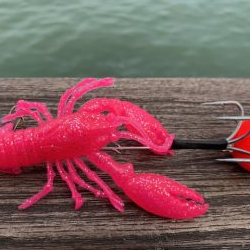 タコ少し上向けだけど