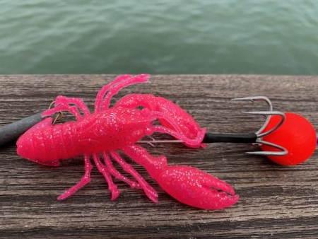 タコ少し上向けだけど