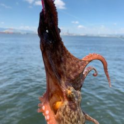 渋い?渋くない?どっち?