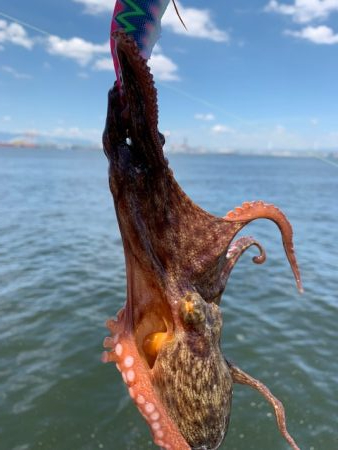 渋い?渋くない?どっち?