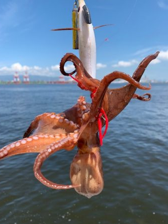 500gが２杯、４００gが３杯、計２３杯