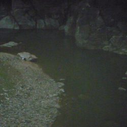 梅雨明け？バス