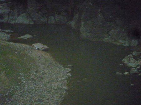 梅雨明け？バス