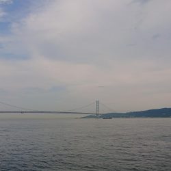 約9ヶ月ぶりに!