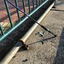 ビギナーズラック？