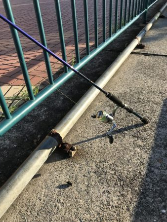 ビギナーズラック？