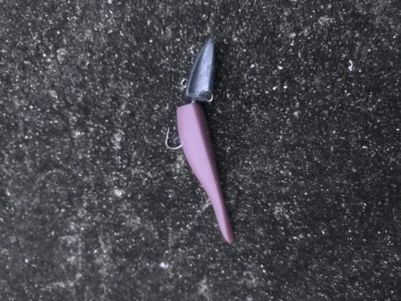 ライトワインドでガシラ&マゴチ