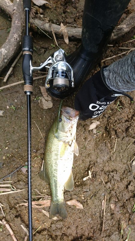 午前中の数釣り釣行