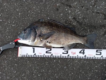 朝のトップで連続ヒット