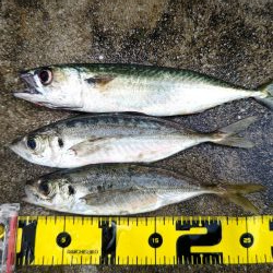 尺には届かない