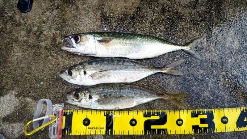 尺には届かない