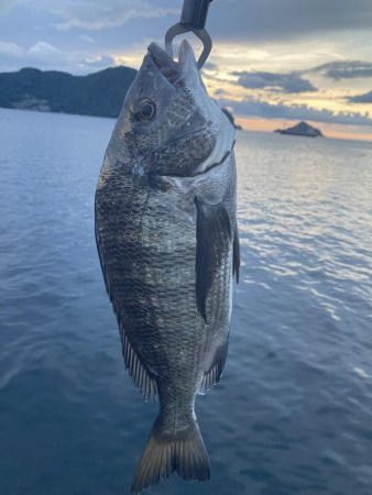 紀州釣り