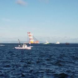 タチウオの時合い