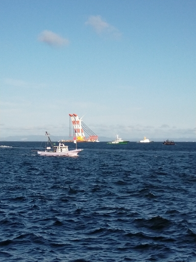 タチウオの時合い