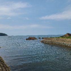 ロックフィッシュ