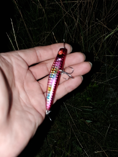 インパクトのある１日。