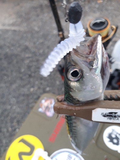 サバゲーはアジングの練習~