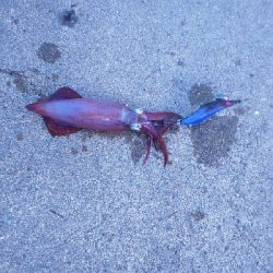 無から一転時合突入