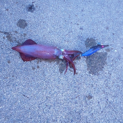 無から一転時合突入