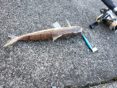 まだちょっとはやい？