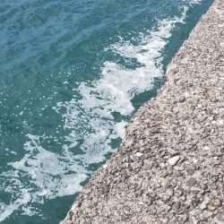 初場所で爆釣だったよ~ エギング