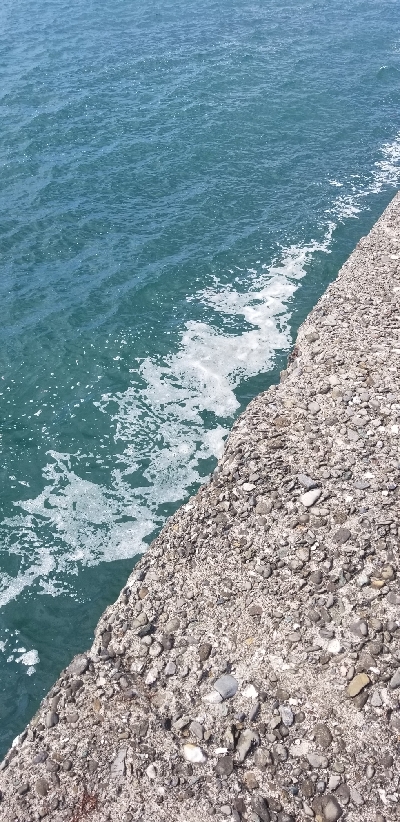 初場所で爆釣だったよ~ エギング