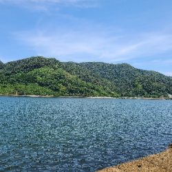 久しぶりのショアジギングの釣果!