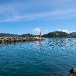 色々釣れました