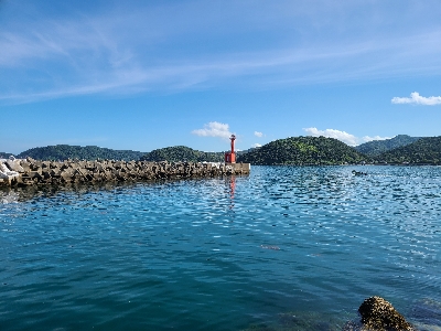 色々釣れました