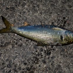 仕事終わりに②