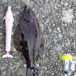 ヒラメ　アジ　アナゴ？