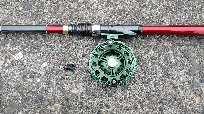 やっぱ最盛期ですね